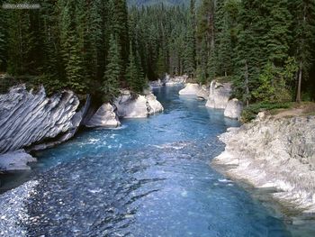 Vermillion River Kootenay National Park Canada screenshot