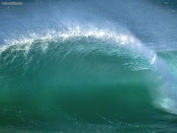 Victoria Beach Laguna Beach California screenshot