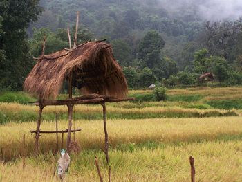 Village Hut screenshot