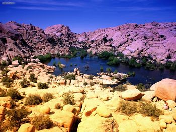 Vivid Vista Joshua Tree National Park California screenshot