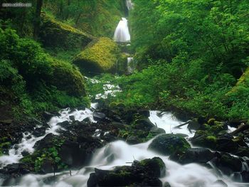 Wahkeena Falls Columbia River Gorge Oregon screenshot