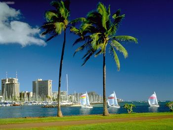 Waikiki Beach, Honolulu, Hawaii screenshot