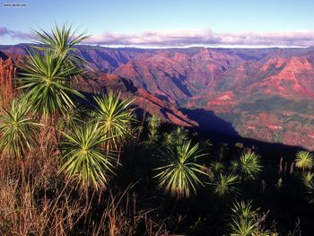 Waimea Canyon Kauai Hawaii screenshot