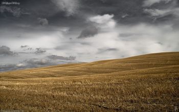 Wallpaper Windows Reverse screenshot