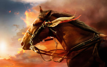 War Horse screenshot