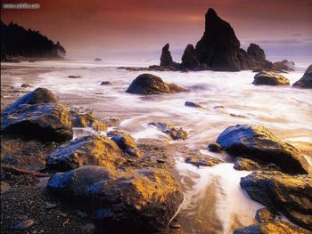 Washington Ruby Beach screenshot