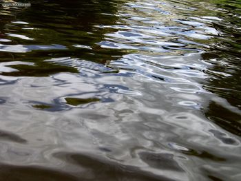 Water Surface screenshot