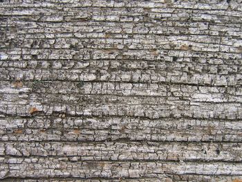 Weathered Wood screenshot