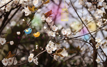 Welcome Spring screenshot