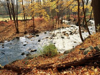 Westchester County In Fall New York screenshot