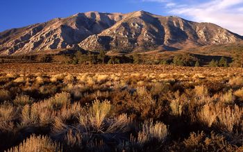 Wheeler Crest, Eastern Sierra, California screenshot