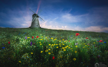 Whitburn Windmill 5K screenshot