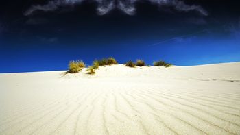White Dessert Sand screenshot