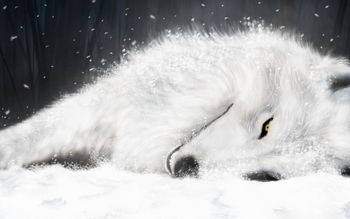 White Fox in ICE screenshot