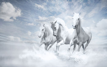 White Horses screenshot
