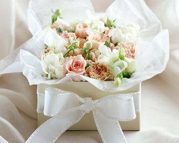 White Rose Flowers screenshot