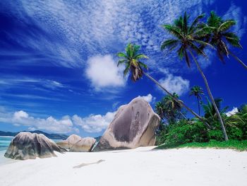 White Sandy Beach, Seychelles screenshot