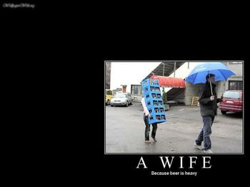 Why Men Need Wifes screenshot