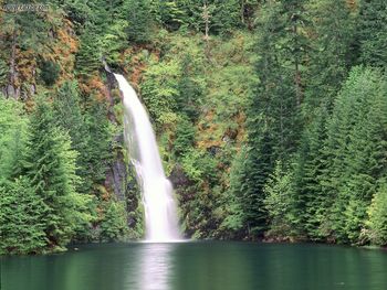 Willamette National Forest Oregon screenshot