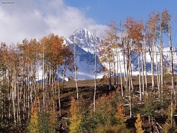 Wilson Peak San Juan Range Colorado screenshot