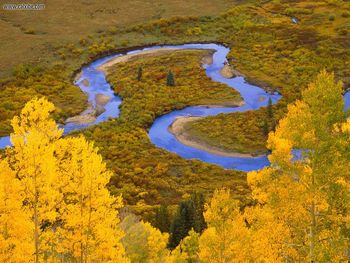 Winding Creek Gunnison National Forest Colorado screenshot