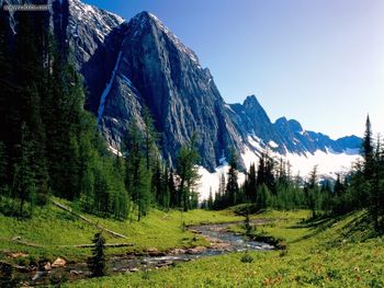 Winding Stream, Banff National Park, Alberta, Canada screenshot