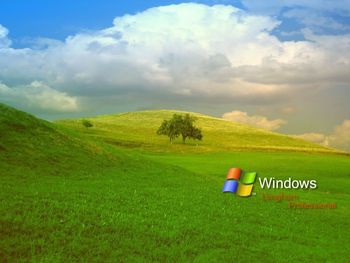 Windows Longhorn screenshot