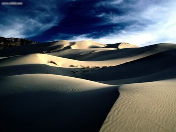 Windswept Dunes screenshot