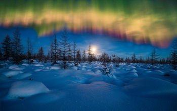 Winter Aurora Borealis screenshot
