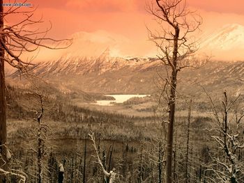 Winter Embraced, Skilak Lake, Kenai Peninsula, Alaska screenshot