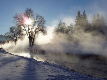 Winter Fog screenshot