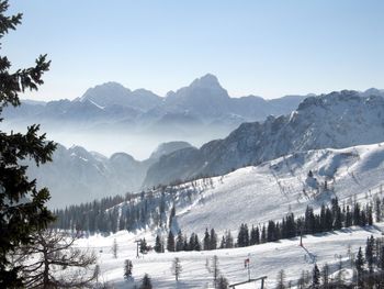 Winter Landscape screenshot