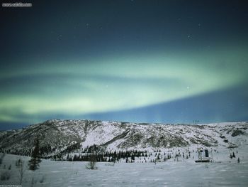 Winter Lights Alaska screenshot
