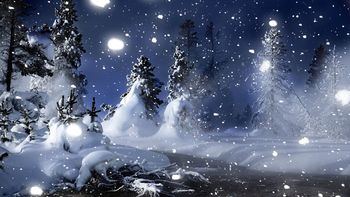 Winter Night In Park screenshot