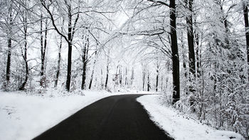 Winter Road screenshot