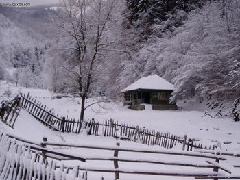 Winter Scene screenshot