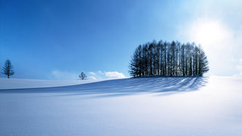Winter Scenery screenshot