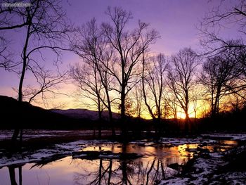 Winter Sunset, Cades Cove, Great Smoky Mountains National Park, Tennessee screenshot