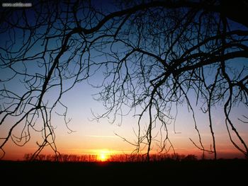 Winter Sunset screenshot