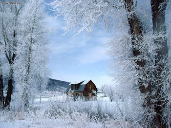 Winter Wonderland, Steamboat Springs, Colorado screenshot