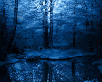 Winter Woodland screenshot