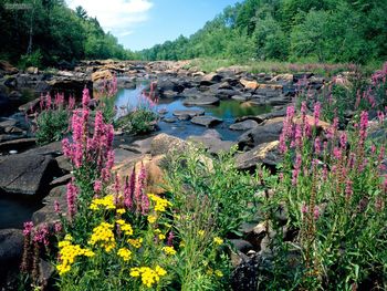 Wisconsin River Ice Age National Scientific Reserve Wisconsin screenshot