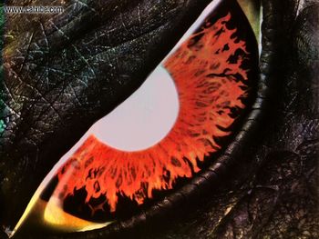 Wolf Pasticcio Godzilla Eye screenshot