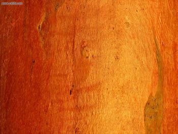 Wood screenshot