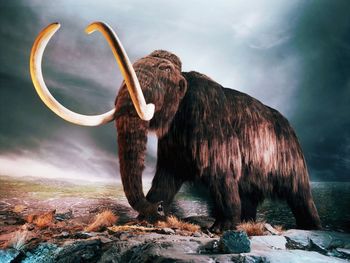 Woolly Mammoth screenshot