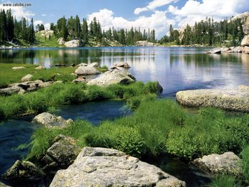 Wyoming Shoshone National Forest screenshot