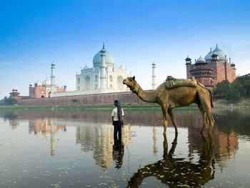 Yamuna River Agra India screenshot