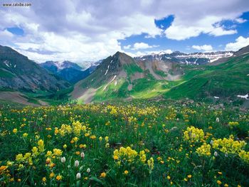 Yankee Boy Basin, Ouray, Colorado screenshot