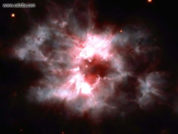 Year Vspace Shots Ngc screenshot
