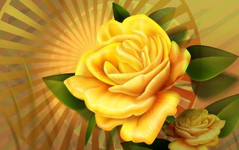 Yellow Rose screenshot